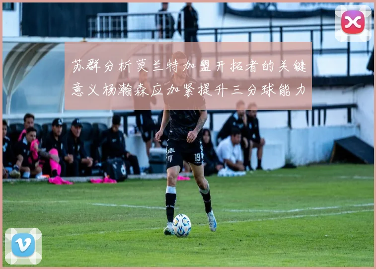 苏群分析莫兰特加盟开拓者的关键意义杨瀚森应加紧提升三分球能力