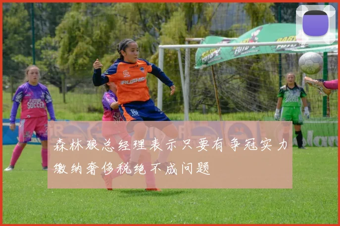 森林狼总经理表示只要有争冠实力缴纳奢侈税绝不成问题