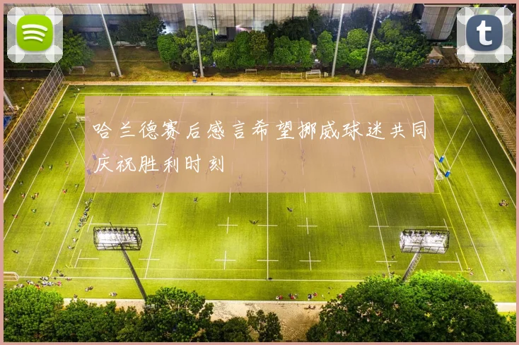 哈兰德赛后感言希望挪威球迷共同庆祝胜利时刻