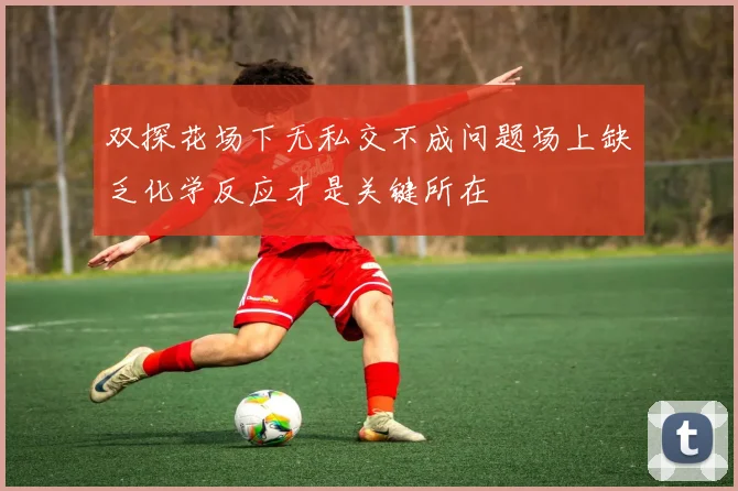 双探花场下无私交不成问题场上缺乏化学反应才是关键所在